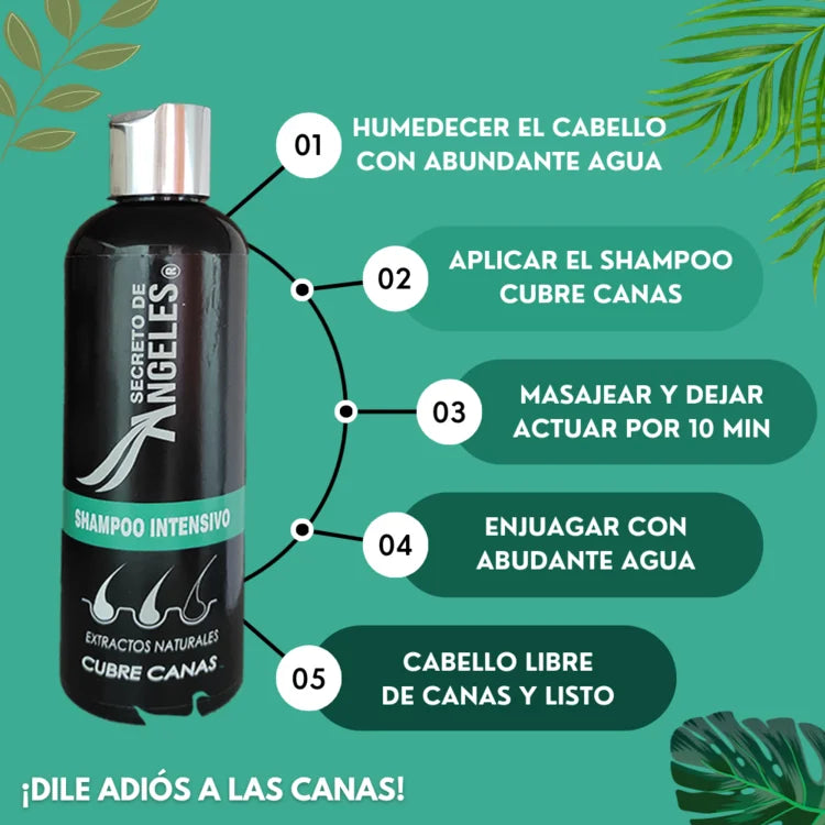 SHAMPOO CUBRE CANAS
