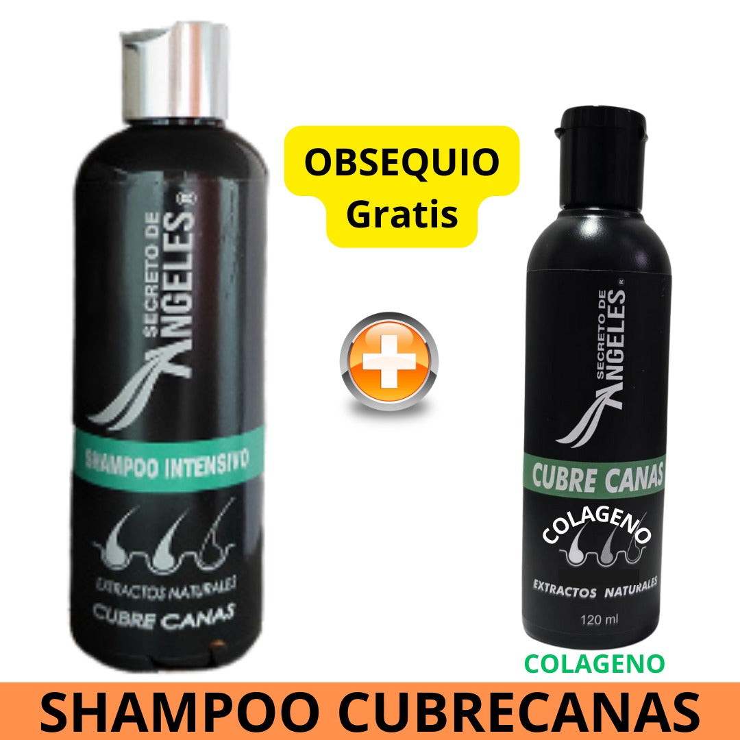 SHAMPOO CUBRE CANAS